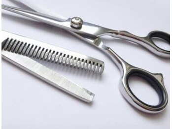 スプリング spring/朝8時からオープン♪