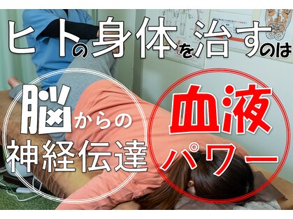 ランウォーク 宝塚逆瀬川院(RunWalk)の写真