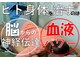 ランウォーク 宝塚逆瀬川院(RunWalk)の写真