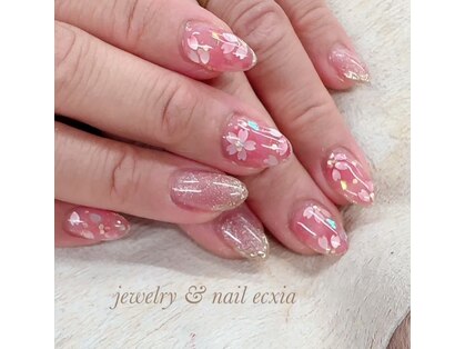 エクシア(ecxia)の写真