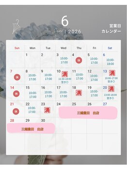 アイビーエス(ibs)/2026年6月営業日