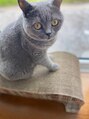 美人バスト 浜松店 昔から猫と触れ合う機会が多く猫が大好きです!!!最高の癒し★