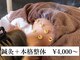 スタイル鍼灸整骨院の写真