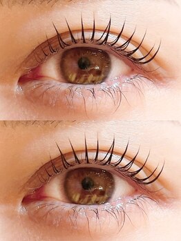 トゥーラッシュ バイ ビーハ(toolash by beha)/