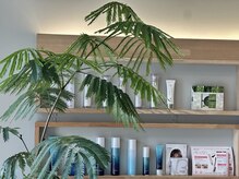 ルテラ(Lutella)/お肌に優しいドクターリセラ取扱