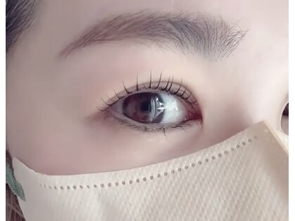 リッシュ(Rissyu)の写真