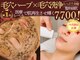 クオレ(Cuore)の写真