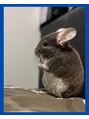 カラダストレッチ FKD宇都宮店&nbsp;チンチラを飼育しています！今年の8月で3歳です、わんぱくです。