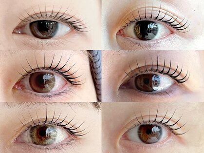 バニラ(Vanilla)の写真