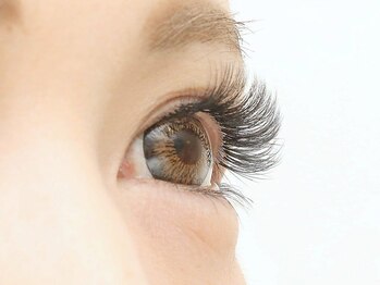 リーベスト 四条畷店(REBEST)/フラットラッシュ