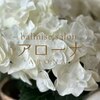 アローナロゴ