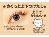 ★さくっと上下つけたし★【ナチュラルメガF 40本+エダムラッシュ10束】