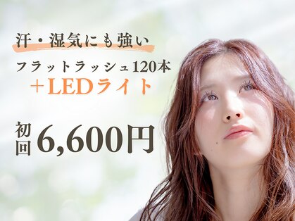 シュウ(shu)の写真