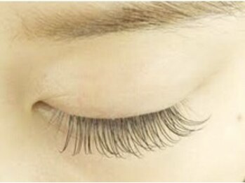 シエル ビジュー(Ciell Bijou)/ナチュラル100本