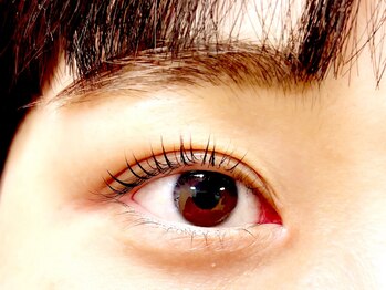 エイチアンドコー(H&Co.)/まつ毛パーマ