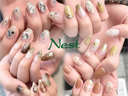 ネスト(Nest)の写真