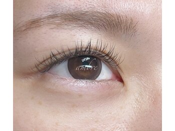 アンブル(ambre)/C 0.15 8.9ランダム