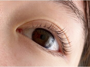 シマー(shimmer)/立ち上げカール!