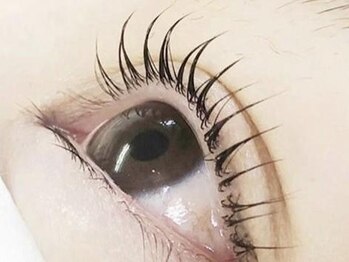 ディア 清澄白河店(Dear)の写真/ケラチン配合、補修力の高いトリートメント付きでまつ毛質改善！アッパーラッシュリフトで強く健康な状態に