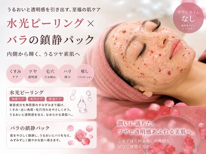 ナンバー19(N°19)の写真