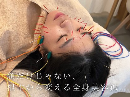 アオイ(Aoi)の写真