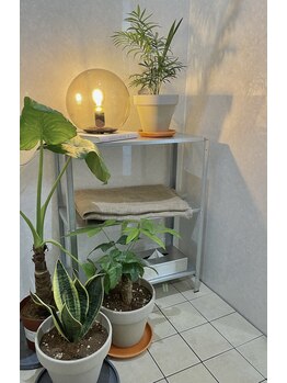 トン アイデザイン(ton eyedesign)/◎ 植物