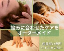 イルカの羽