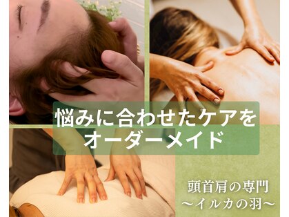 イルカの羽の写真