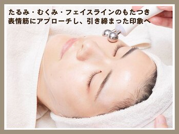 ディレイア ザ コスメ 有楽町マルイ店(direia the cosme)/リフティングパルス[有楽町駅]