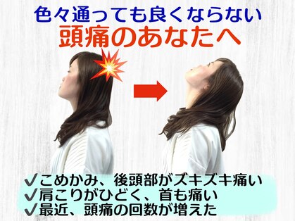 ニコ(nico)の写真