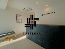 カトレア(CATTLEYA)