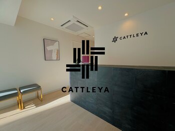 カトレア(CATTLEYA)