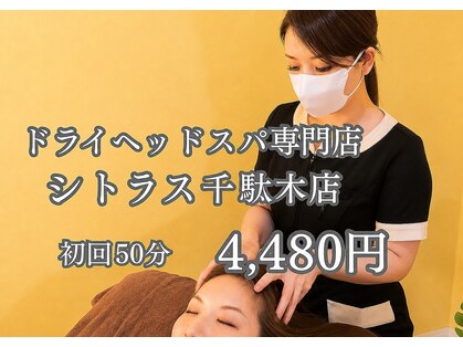 シトラス 千駄木店の写真