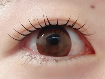 アイラッシュサロンラコタ 池袋東口店(RACOTA)/ラッシュリフト