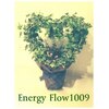 エナジーフロー1009(Energy Flow1009)ロゴ
