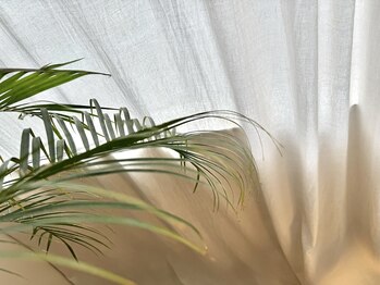 マイレ(Maile)/Maile 