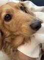 ピュアノア 三木店 動物が好きです♪犬猫います☆