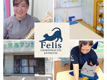 フェリス(Felis)の写真