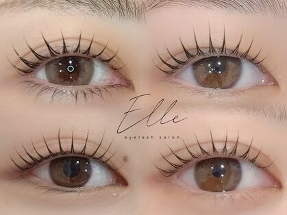 エル(Elle)の写真