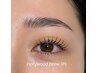ハリウッドブロウリフト＋眉毛WAX＋眉毛間引き)￥6500[アイブロウ]