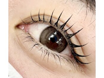 セレブヒルズ 三宮店(Celeb Hill's)/まつげパーマ