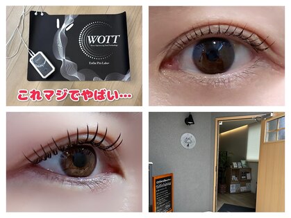 トトルナ(totoluna)の写真