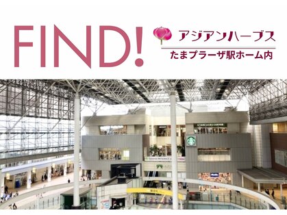 アジアンハーブスたまプラーザの写真