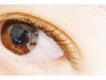 デリカ 溝の口店(DELICAT)/カラーエクステ 