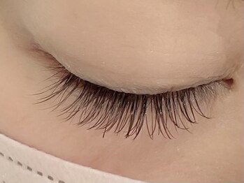 カラン 焼津店(CALIN)/ブラウンフラットラッシュリペア