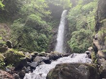 たにあん/養老の滝