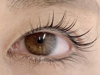 ダズル(DAZZLE)/Cカール