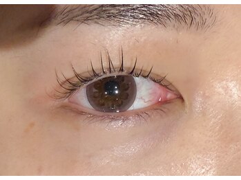 クラシカ 幡ヶ谷店(CLASSICA)/8月まつげ☆