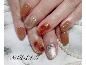 ネイルクロスラニ 練馬店(Nail Lani)/べっこうネイル