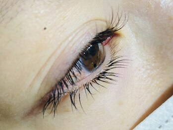 トータルビューティー ブレイクデュオ(TOTAL BEAUTY BREK DUO)/下まつ毛エクステ50本